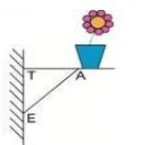 Étagère de pot de fleurs sur un mur Étagère fixée sur un mur vertical avec un pot de fleurs et les points T, A, E — exercice de maths en 4ème sur le théorème de Pythagore